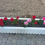 мареа アパート スヴェティ・ヴラス