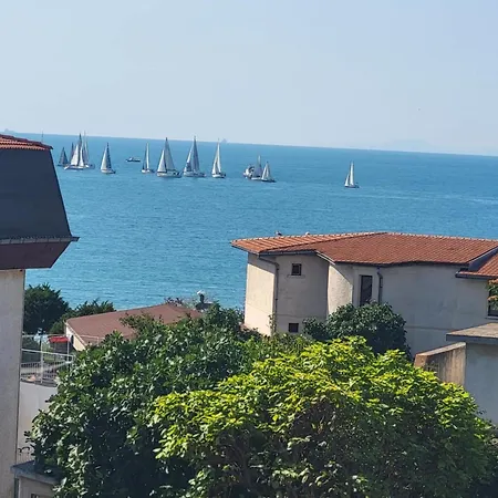 мареа * スヴェティ・ヴラス