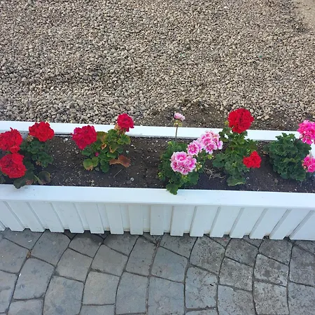 мареа Apartament Sveti Vlas