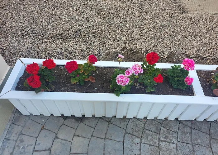 мареа Apartament Sveti Vlas